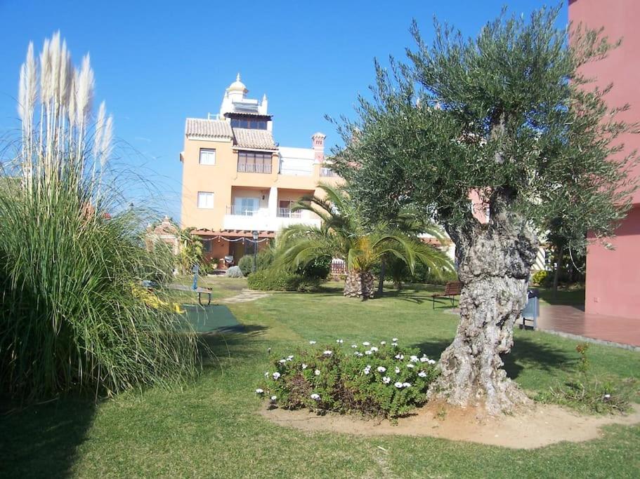 Bajo Con Terraza Piscina Y Jardin Leilighet Sanlúcar de Barrameda Eksteriør bilde